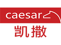 凯撒